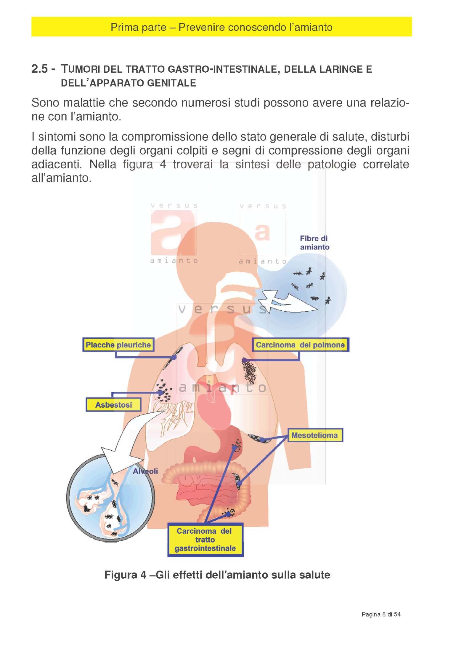 Prevenire conoscendo l'amianto_Pagina_08