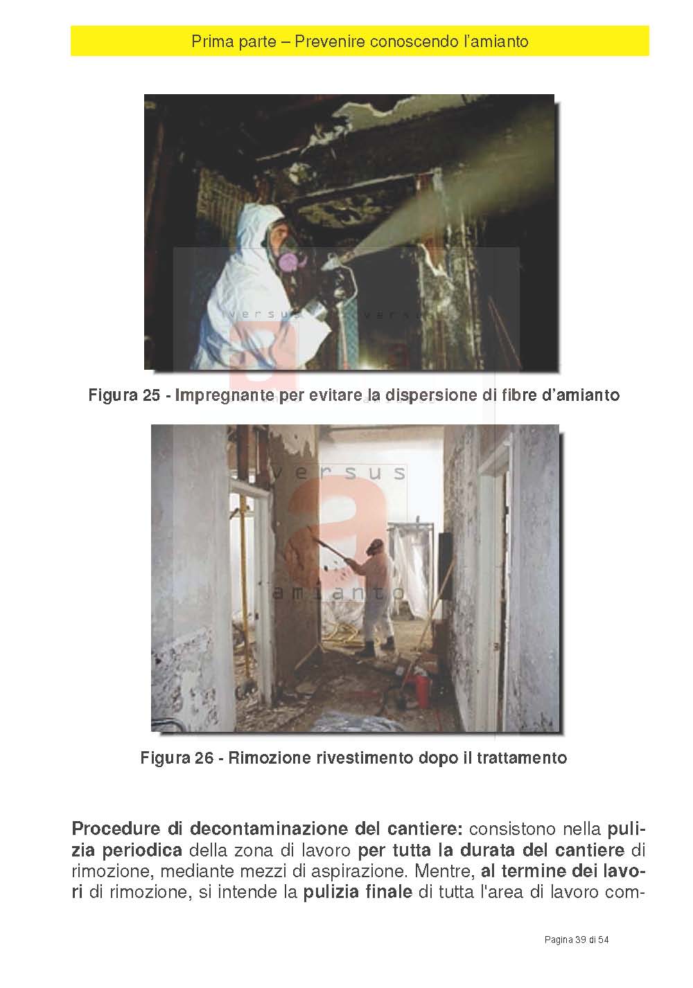 Prevenire conoscendo l'amianto_Pagina_39